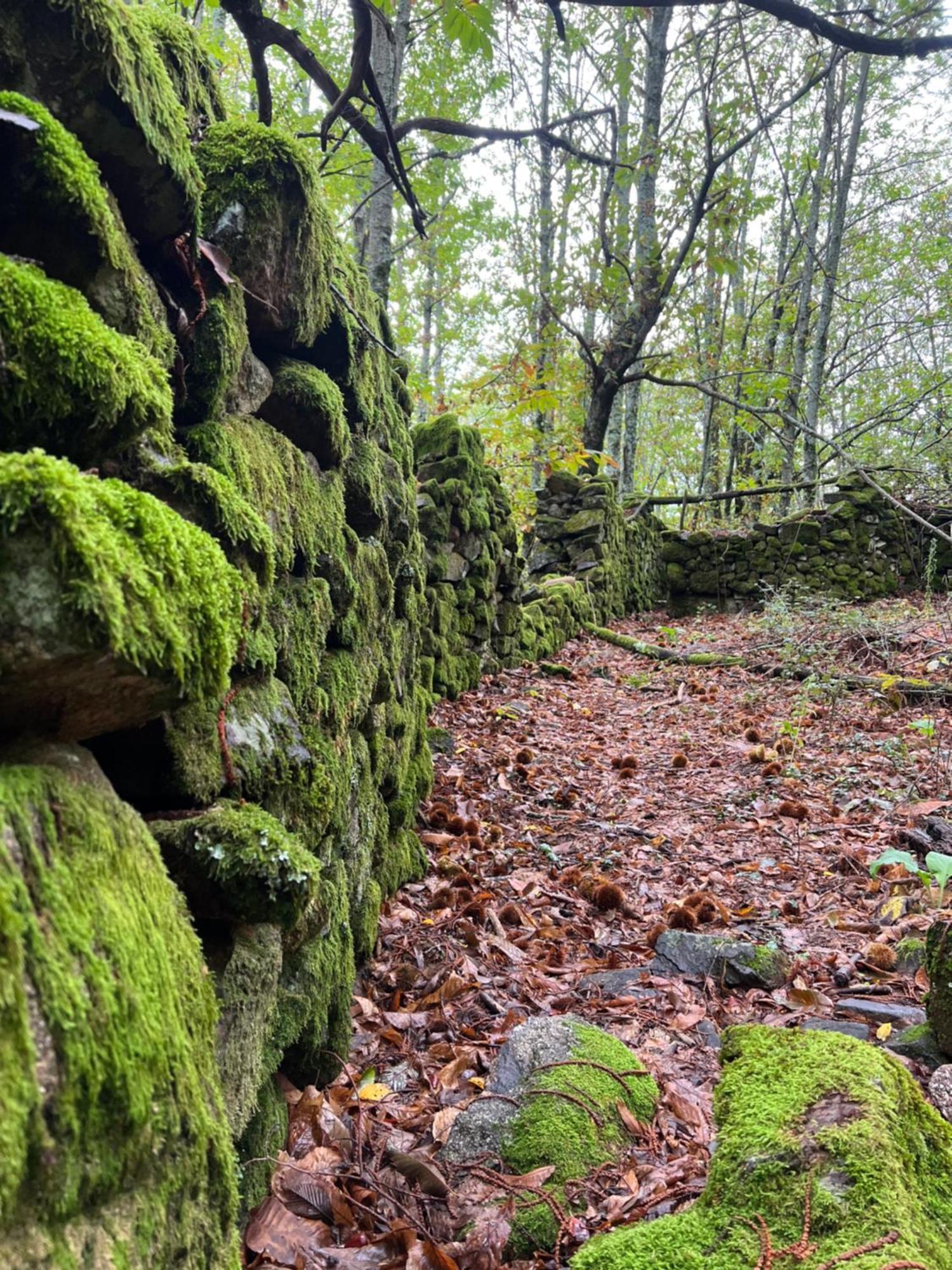 Terracea Villa Hoyos Exteriör bild